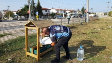 Sokak Hayvanlarını Besleme Çalışmalarımız Aralıksız Sürüyor.