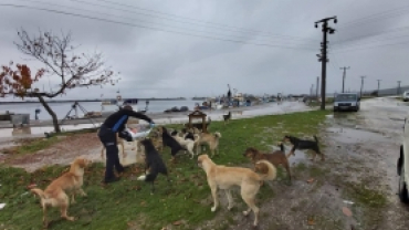 Sokak Canlarımızı Rutin Olarak Besliyoruz.